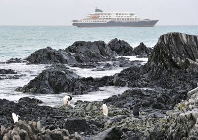 MS Hondius in der Antarktis