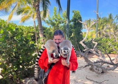 Lemuren, Necker Island